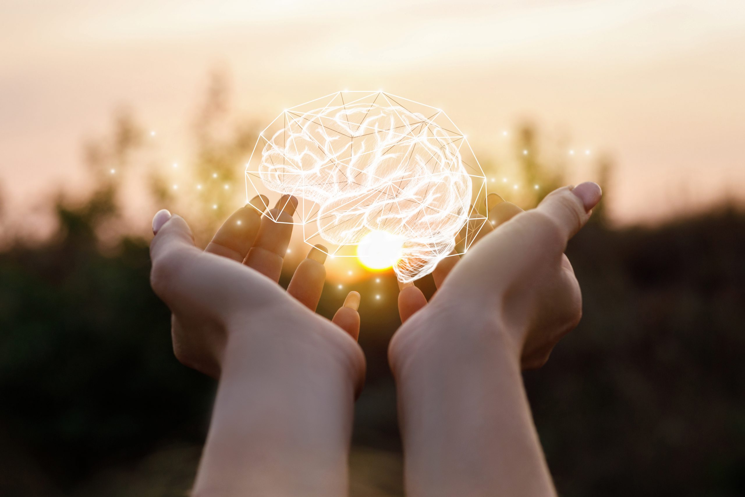 Rewiring the Brain: How Neuroplasticity Helps in Brain Injury Recovery